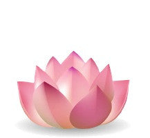 Top Personal Growth & Success Check List